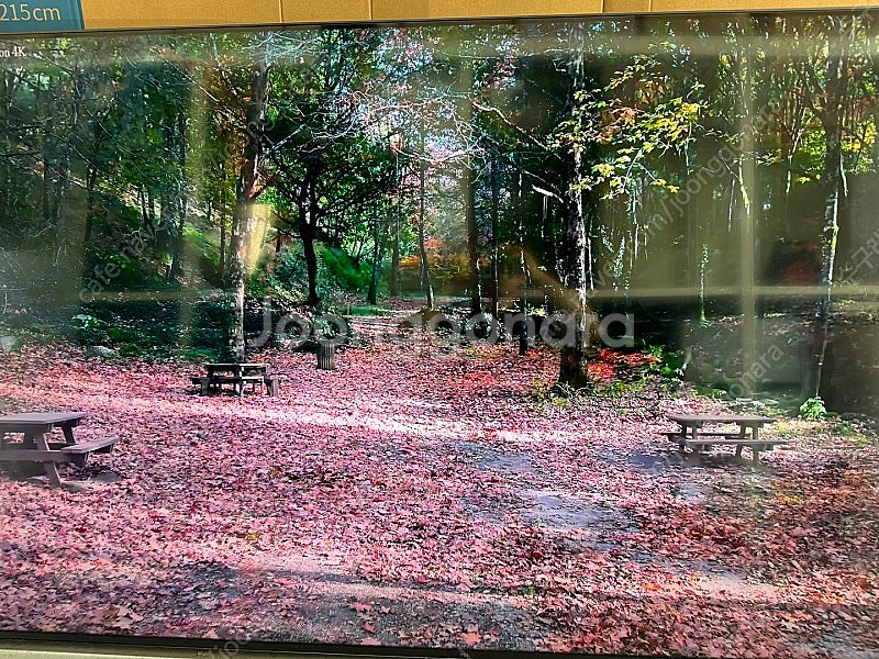 TCL 85인치 4k UHD LED 스마트TV--1