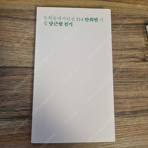 당근밭 걷기 안희연 시집