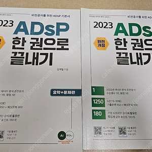 2023 ADsP 한권으로 끝내기 이론+문제