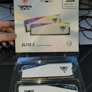 ddr5 16g x 2개 cl36