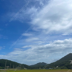 컴포즈커피 아메리카노 다 삽니다