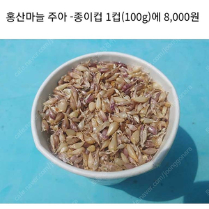 홍산마늘주아