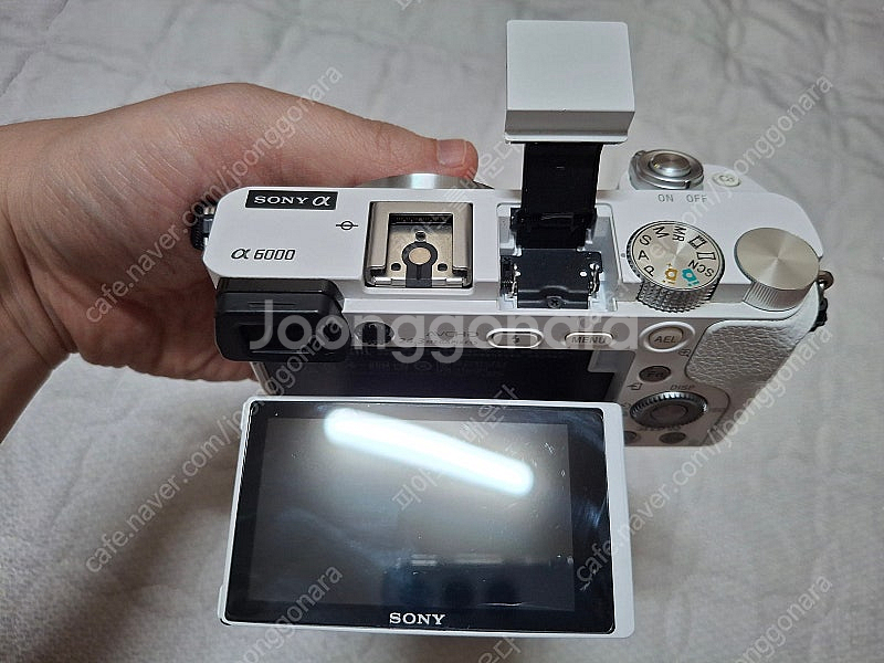 SONY 알파 A6000(바디)+SONY 알파 sel3...--2