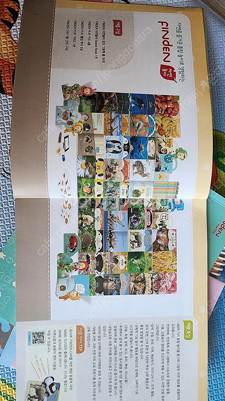 핀덴전집및 교구 풀구성--5