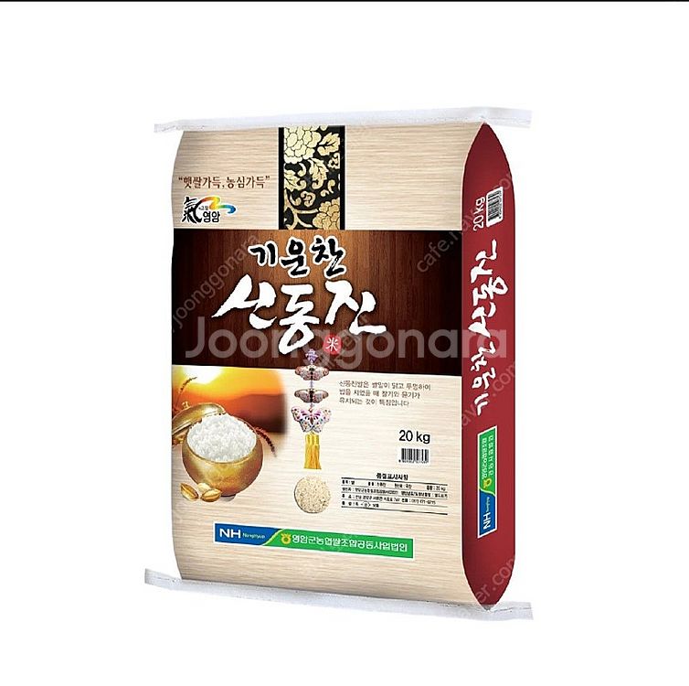 선착순)23년산 상등급 농협 기운찬 신동진쌀20kg 무...--0