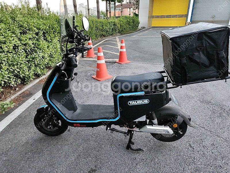 타우러스es듀얼 전기스쿠터--0