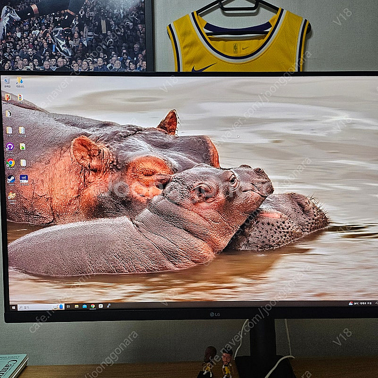 2024년 32uq850v LG 4k 2000:1 울트...--0