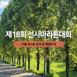 9월 29일 서울 선사마라톤 10K 배번 양도합니다.