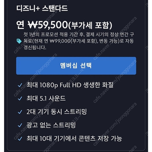 디즈니플러스스탠다드