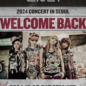 2NE1 투애니원 콘서트 막콘 지정석 구해요