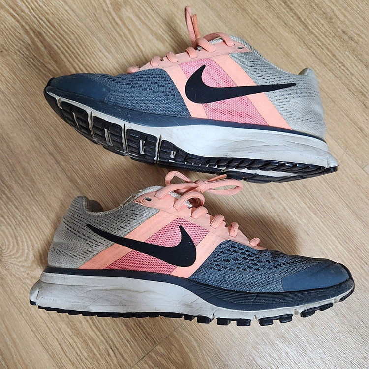 나이키 운동화 220 페가수스--1