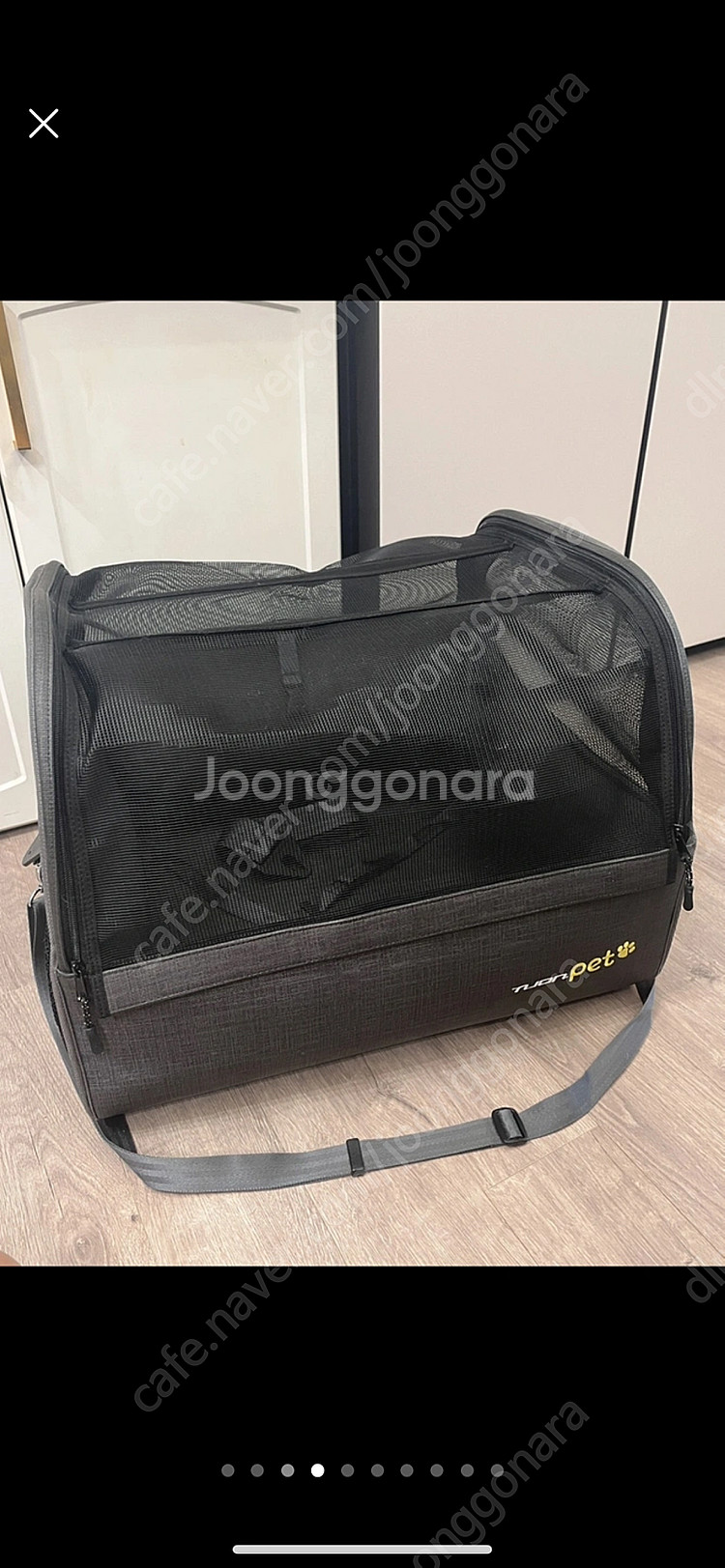 (가격내림) 기아 정품 펫카시트 튜온펫 애견 카시트--3