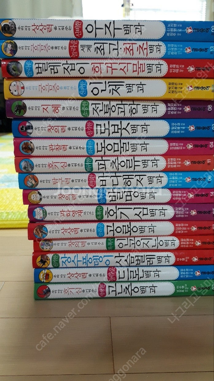 개념씨수학나무, 글뿌리반전동화, 글송이 어린이백과, 지...--5