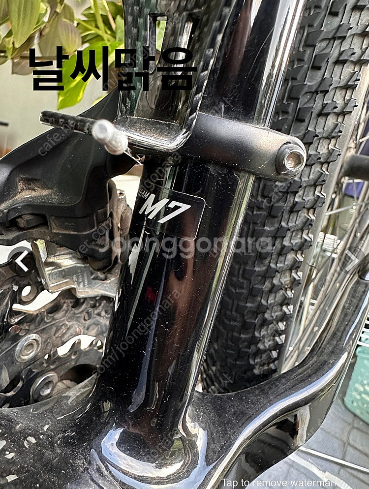 스타카토 카본 mtb자전거--0