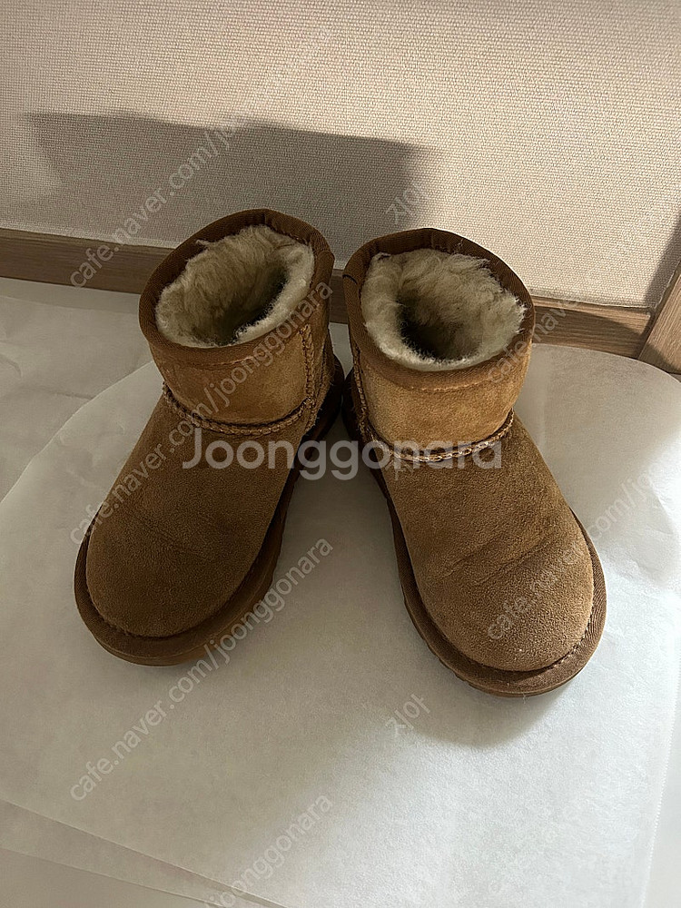 호주 어그 180--0