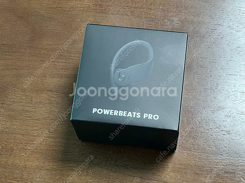 닥터드레 애플 파워비츠 프로(Apple PowerBea...--0