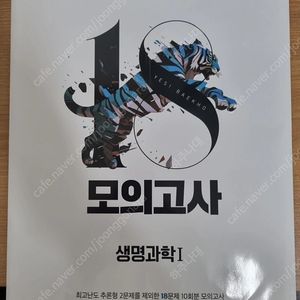 백호 18 모의고사