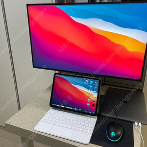 Dell 울트라샤프 u2520d qhd usb-c 모니터 20만