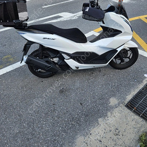 24년식 pcx125 신차급 판매
