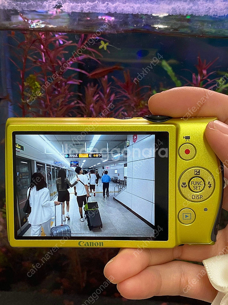 Canon IXY 600F 디지털 카메라 판매합니다--2