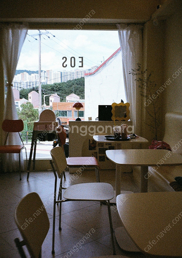 필름카메라 리코 오토하프S 민트급 20만원 (작례 多)--5