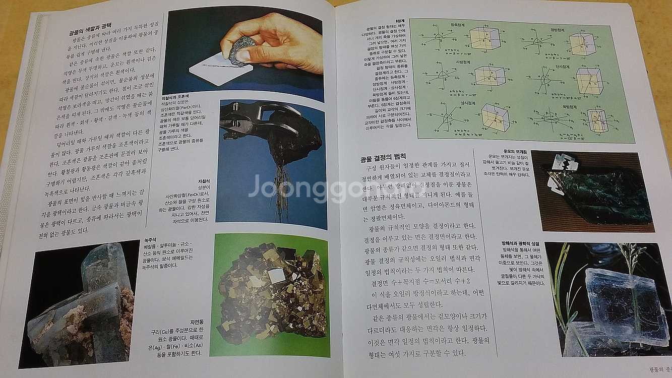 계몽사 최신학습 그림과학--1