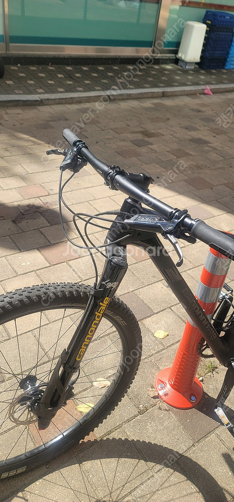 케논데일mtb(f-si 카본3) BBQ 2020년식--3