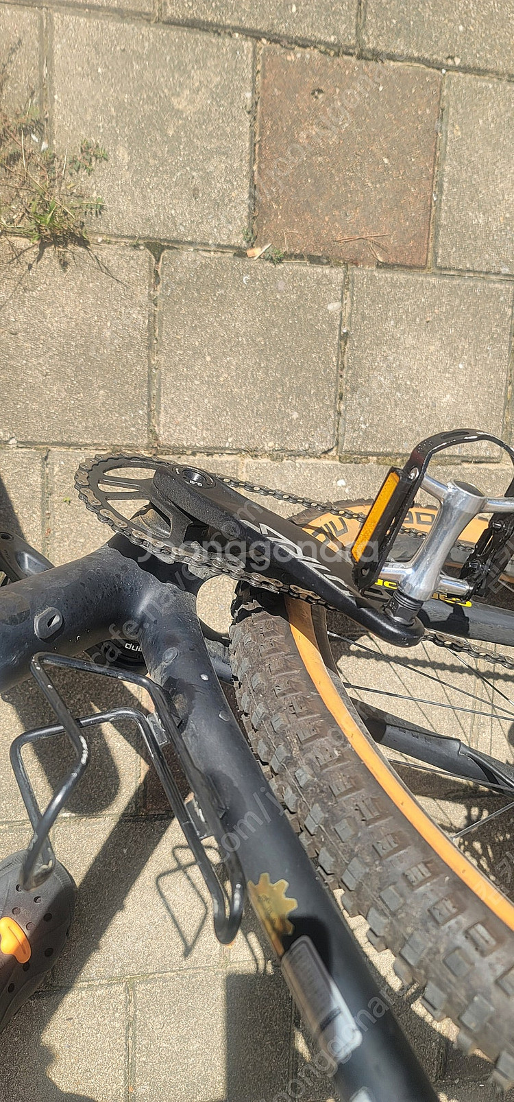 케논데일mtb(f-si 카본3) BBQ 2020년식--5