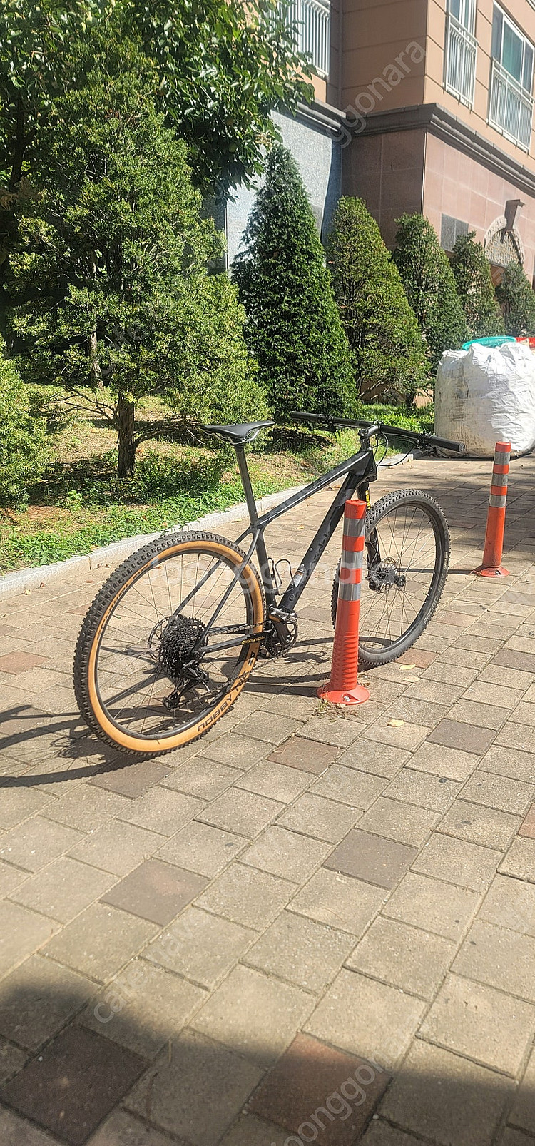 케논데일mtb(f-si 카본3) BBQ 2020년식--8