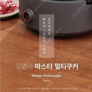 오엘라 마스터 멀티쿠커 MC01