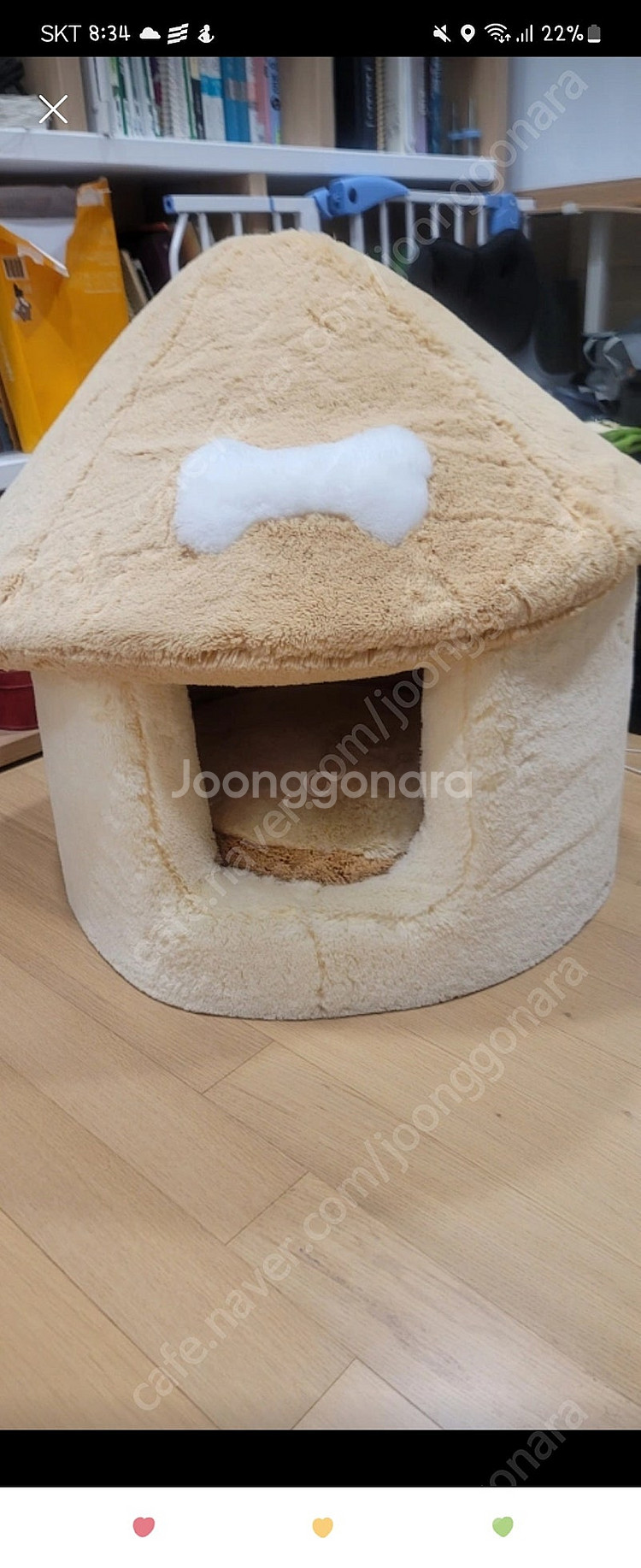 아페토 럭셔리 버섯하우스--0