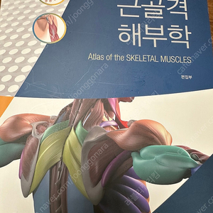 그림으로보는 근골격해부학 / 필라테스아나토미