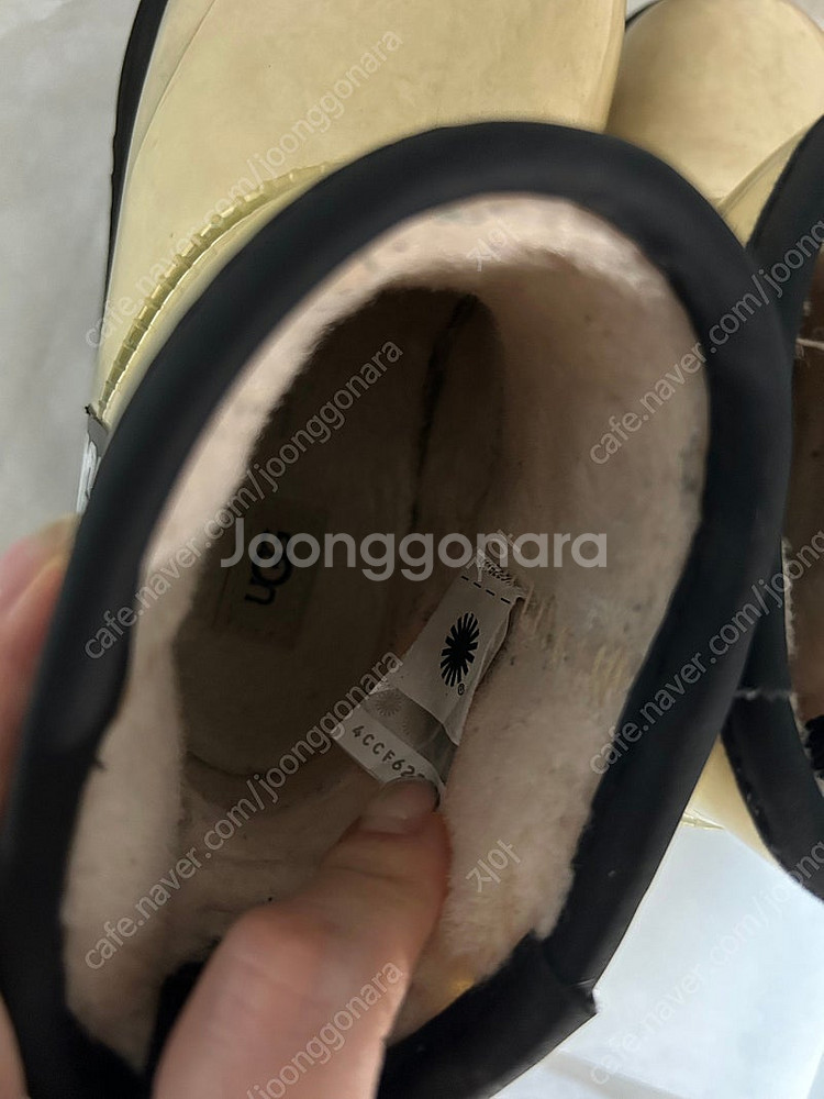 미국 어그 클리어 미니 US11 175--4