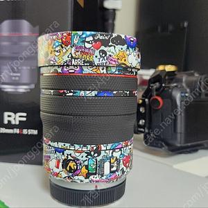 캐논 rf10-20mm f4 판매 또는 교환(rf85.2나rf70-200f2.8)