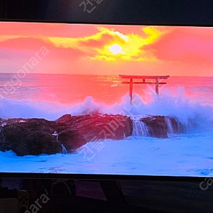 오디세이 OLED G8 G80SD S32DG800 80cm OLED UHD 4K 게이밍 모니터