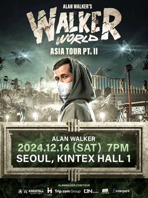 2024 알렌워커(Alan Walker) 내한공연 VIP석 B구역 2연석양도합니다