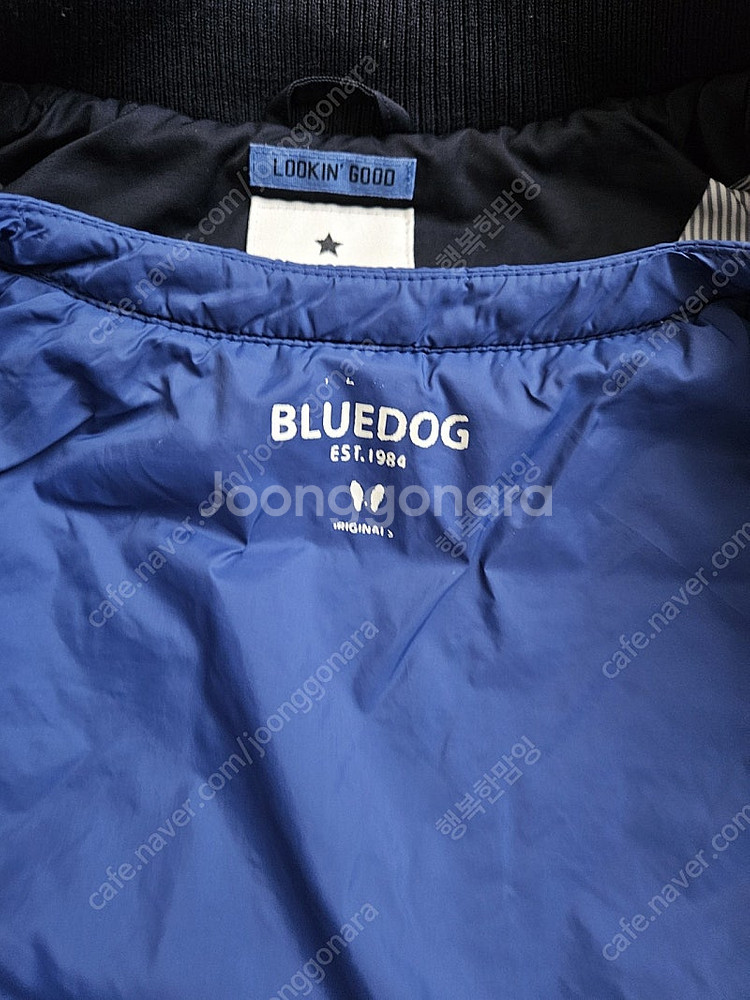 블루독 화섬점퍼 패딩조끼세트 110--5