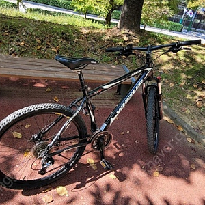 휠러 pro49 MTB