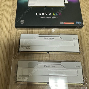 에센코어 클레브 ddr5 48000 (6000) white rgb 팝니다