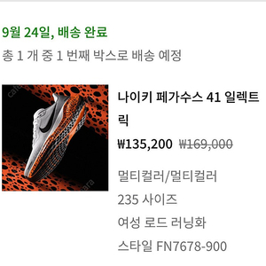 나이키 페가수스41 일렉드릭 235