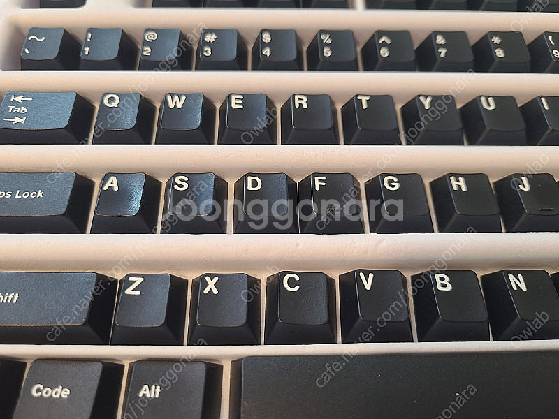 GMK WOB 전투용--2