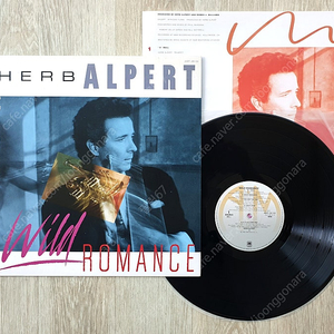 (LP 판매) 허브 앨퍼트 (Herb Alpert) Wild Romance 1985년 일본반