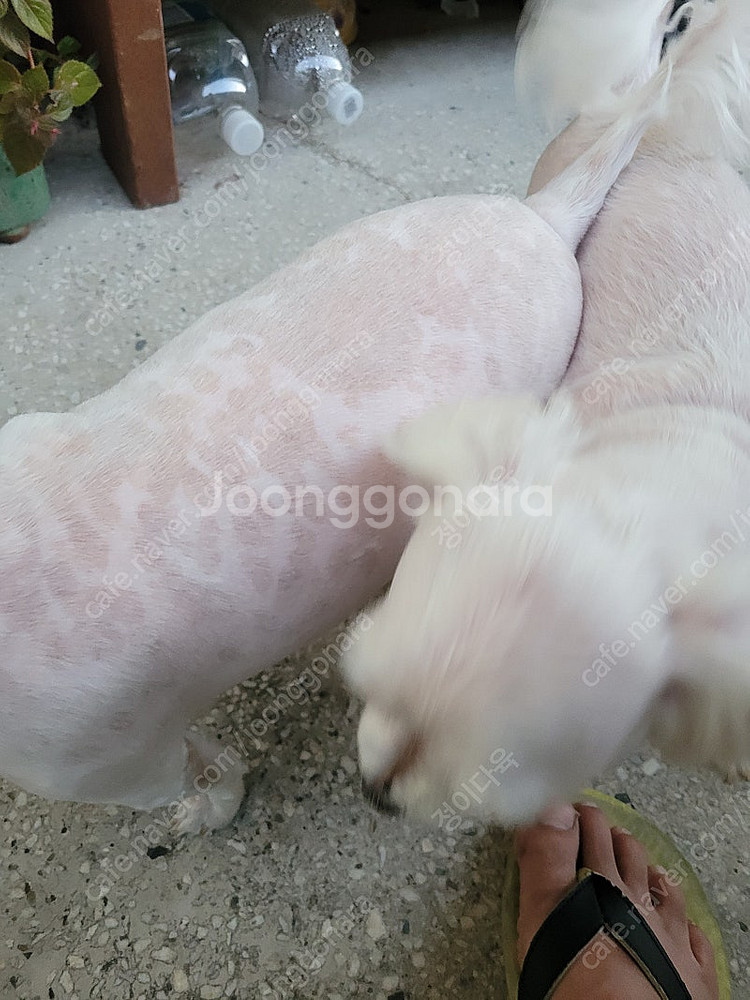 디월트소화기구입합니다--0
