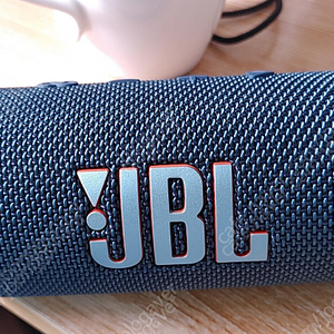 JBL FLIP6 플립6 블루