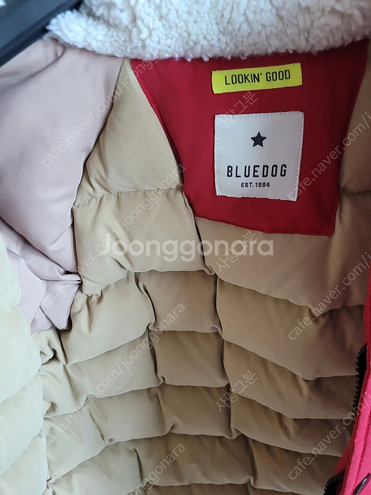 블루독 패딩점퍼 팔아요--1