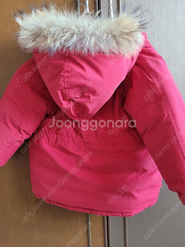 블루독 패딩점퍼 팔아요--4