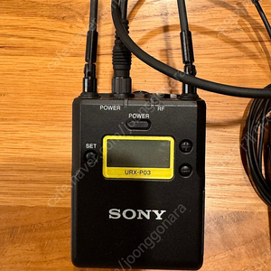 SONY UWP-D11 (수신기 URX-P03)