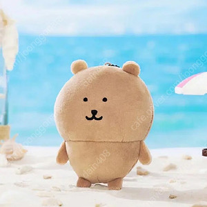 나가노마켓 농담곰 태닝곰 태닝농담곰