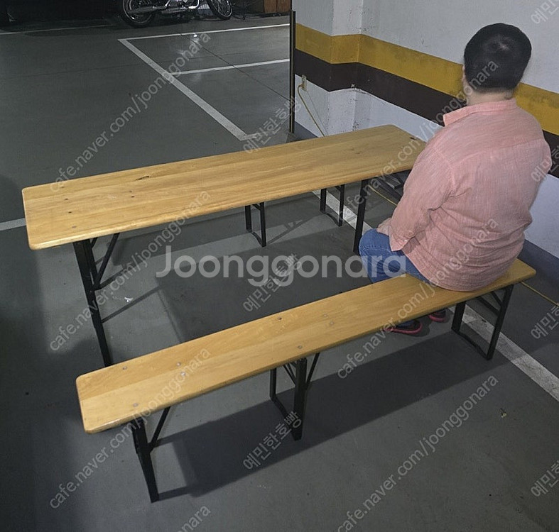 이케아 접이식 의자 프뢰스비--1