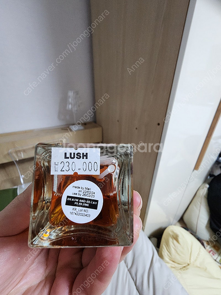 러쉬 데스앤디케이--0